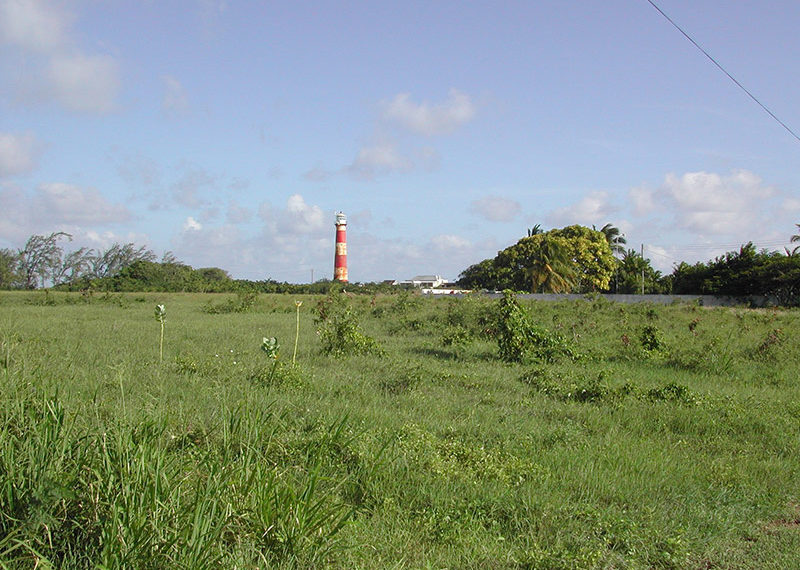 Bow-Bells-View-to-Lighthouse1