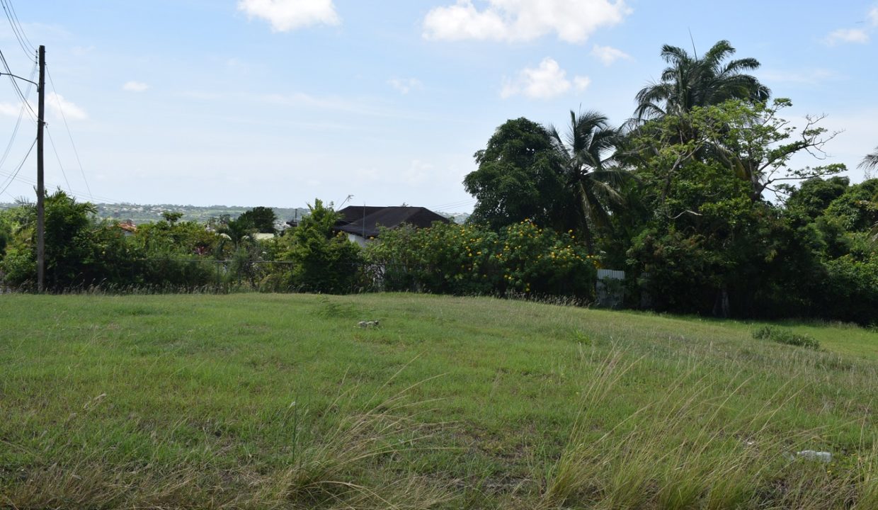 Walkers Terrace