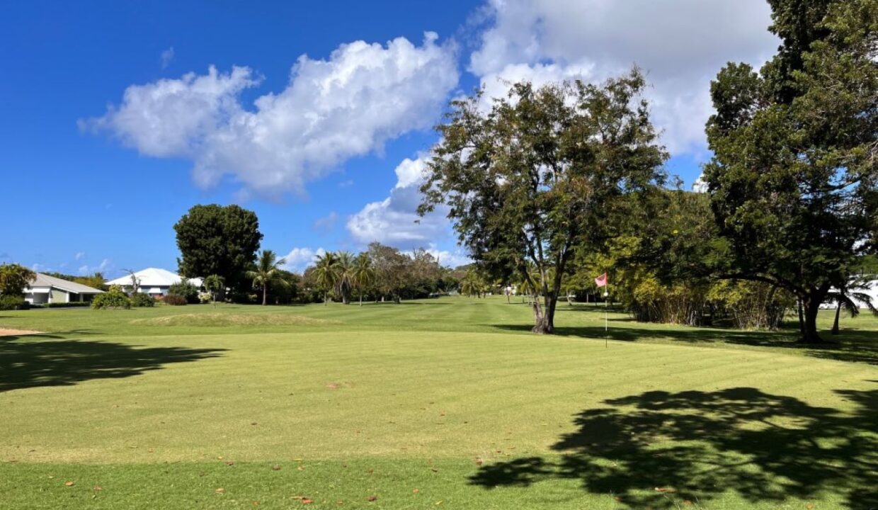 9th Hole - Rockley Residences