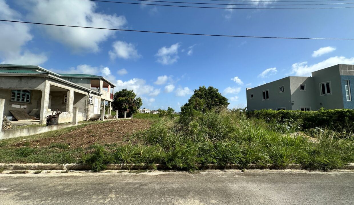 image00009