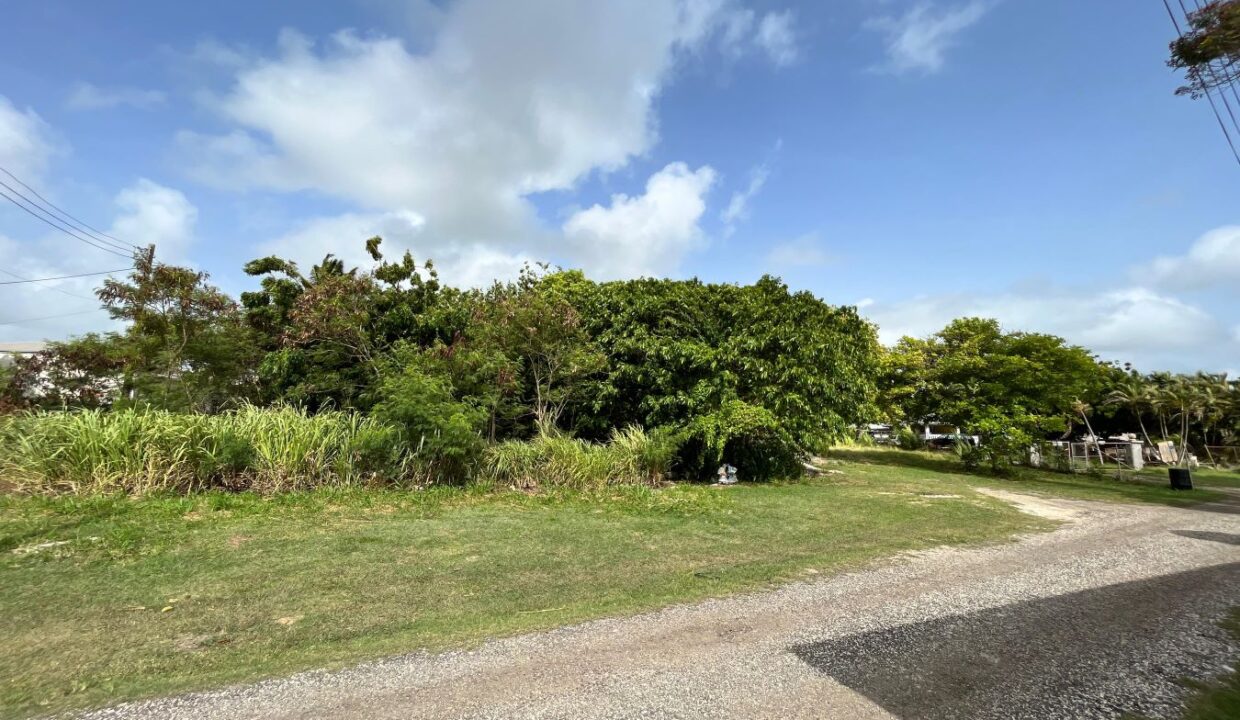 IMG-20250627-WA0075