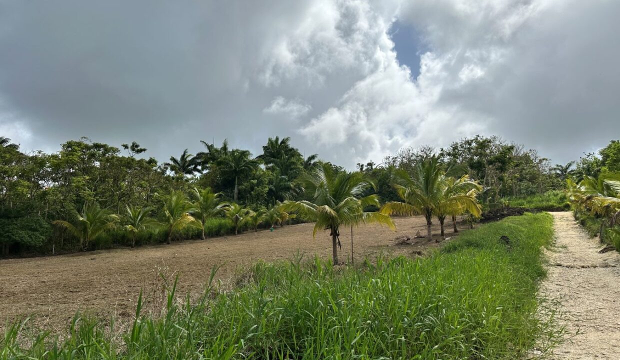 image00004