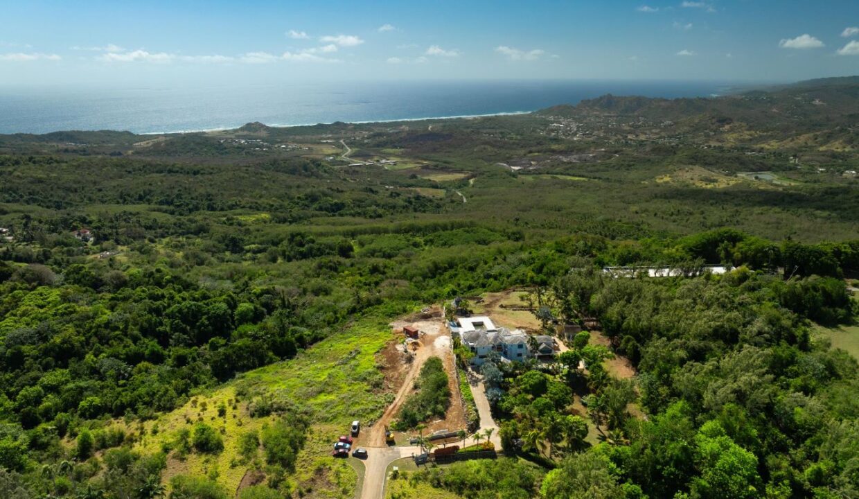 DJI_0339