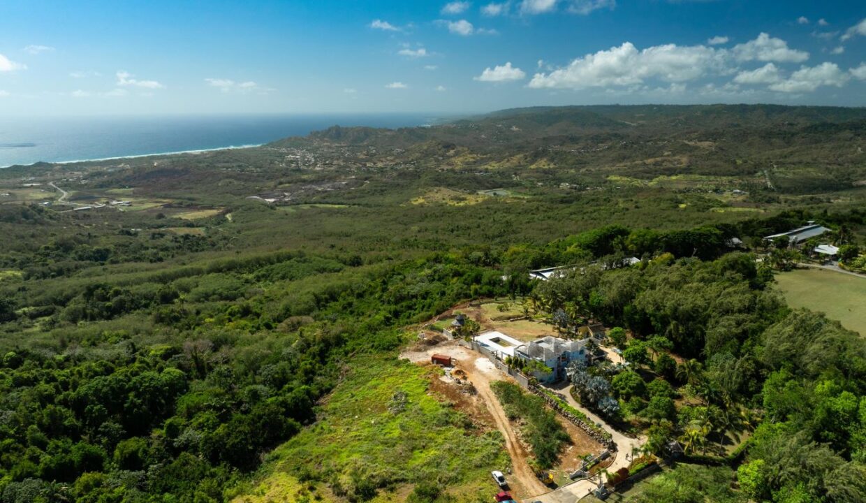 DJI_0344