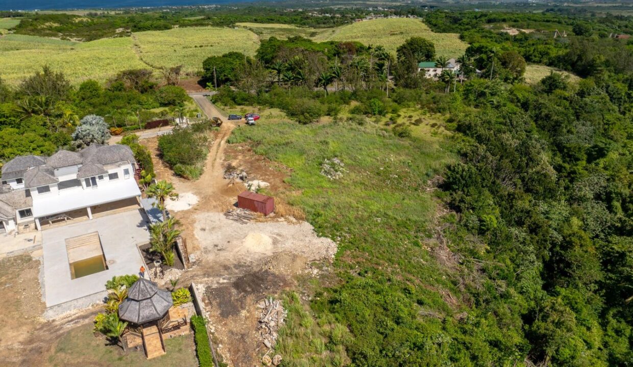 DJI_0360