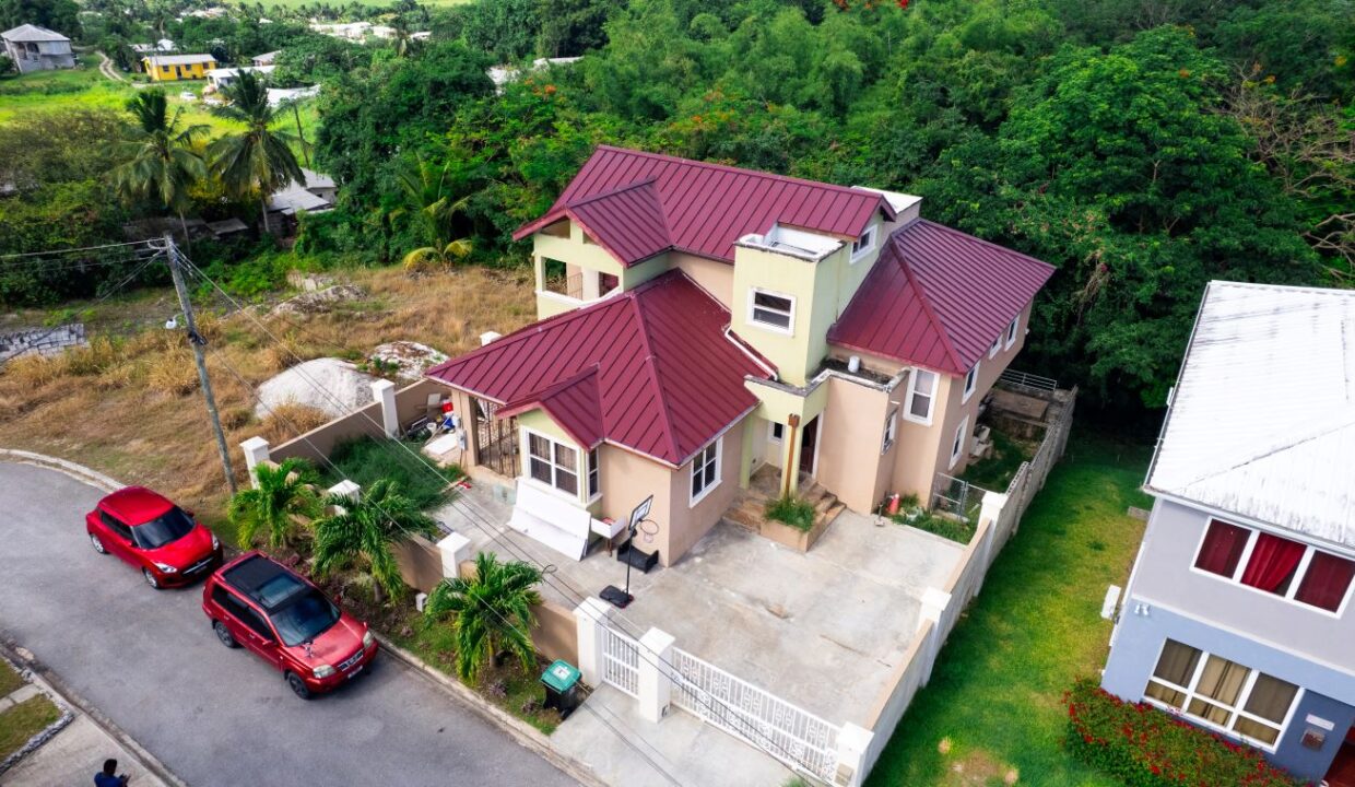DJI_0860