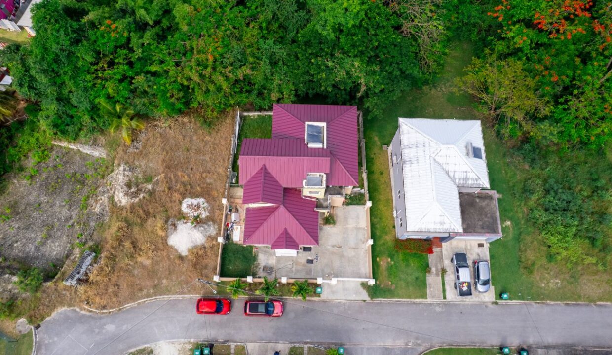 DJI_0863