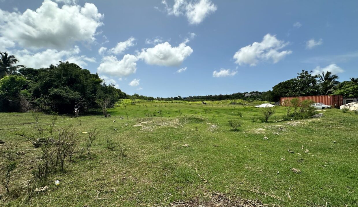 image00001