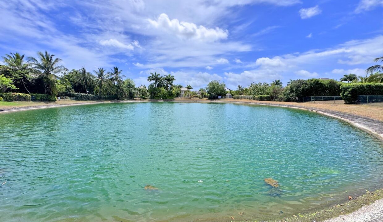 13 Millennium 27 Lake