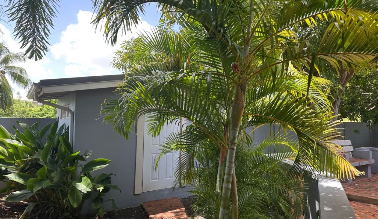IMG-20250820-WA0003