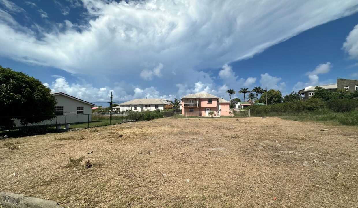 image00009