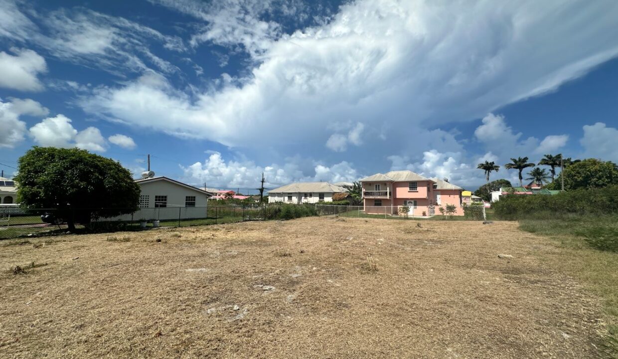 image00010