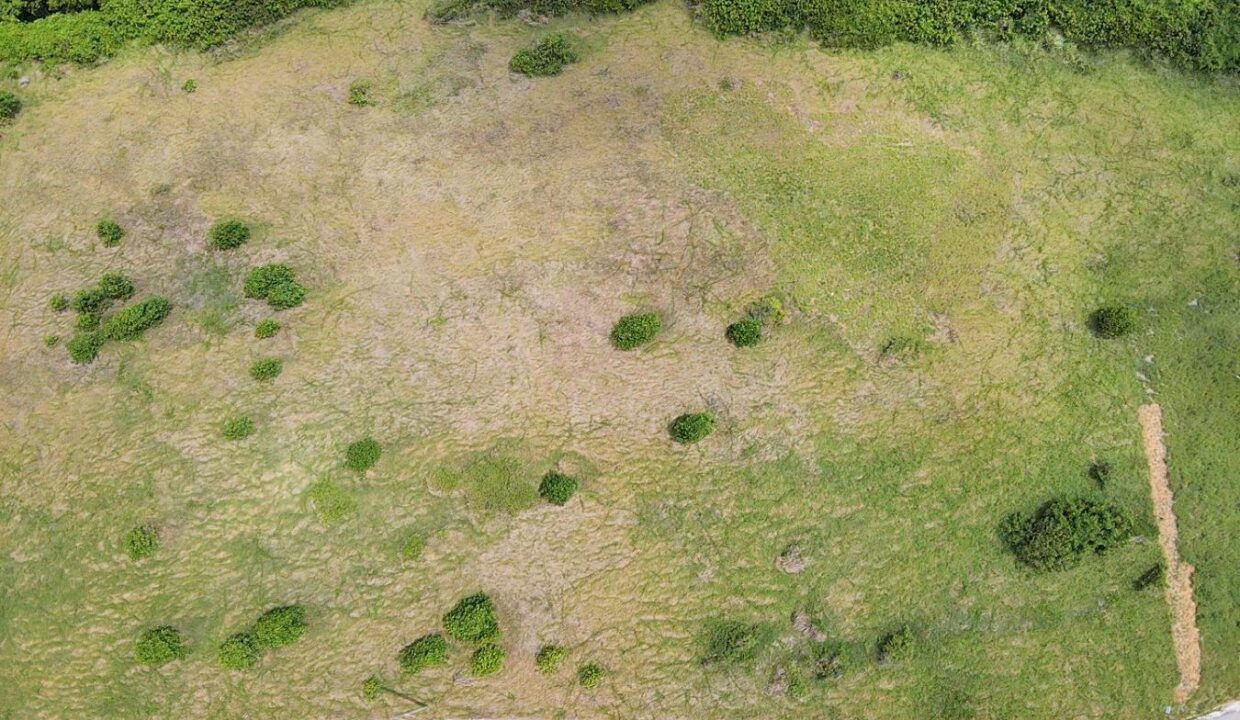 1DRONE~1