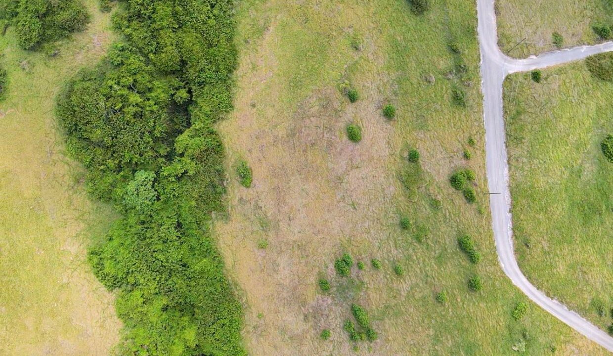 1DRONE~1