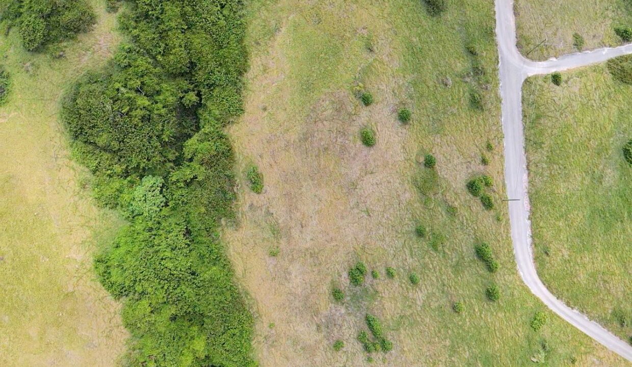 1DRONE~1