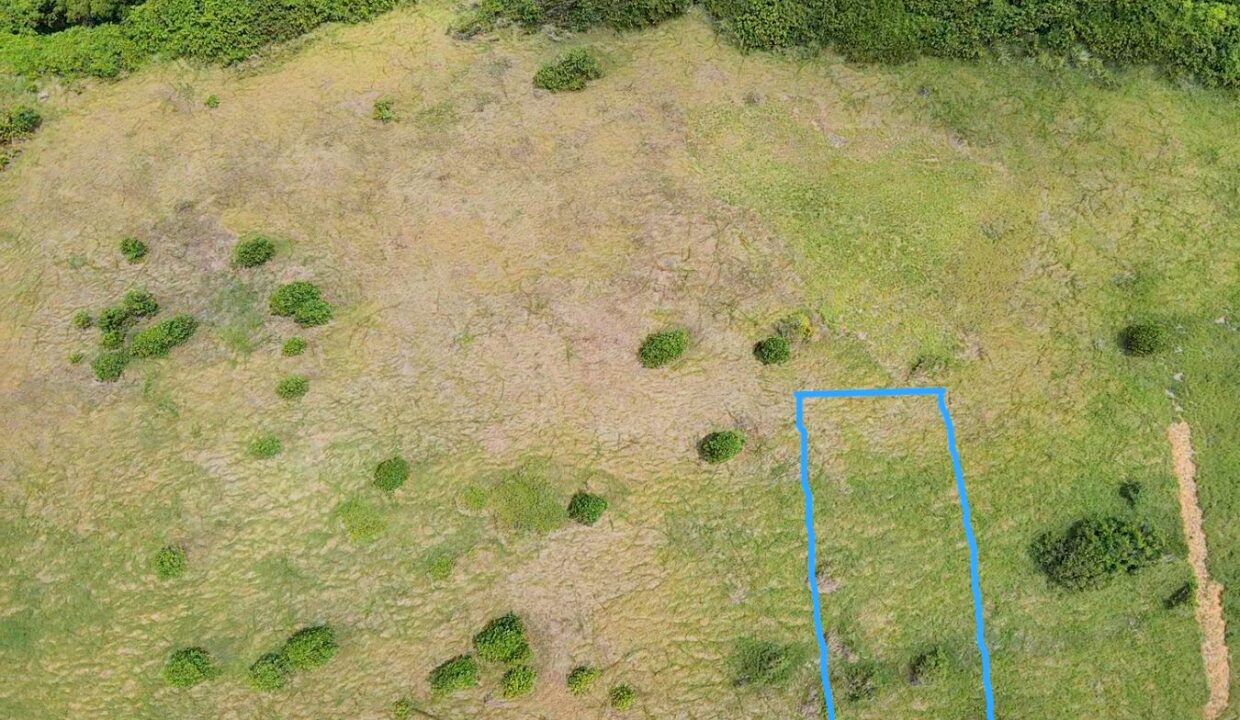 2DRONE~1