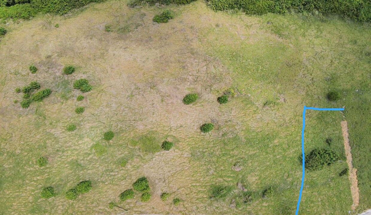 2DRONE~1