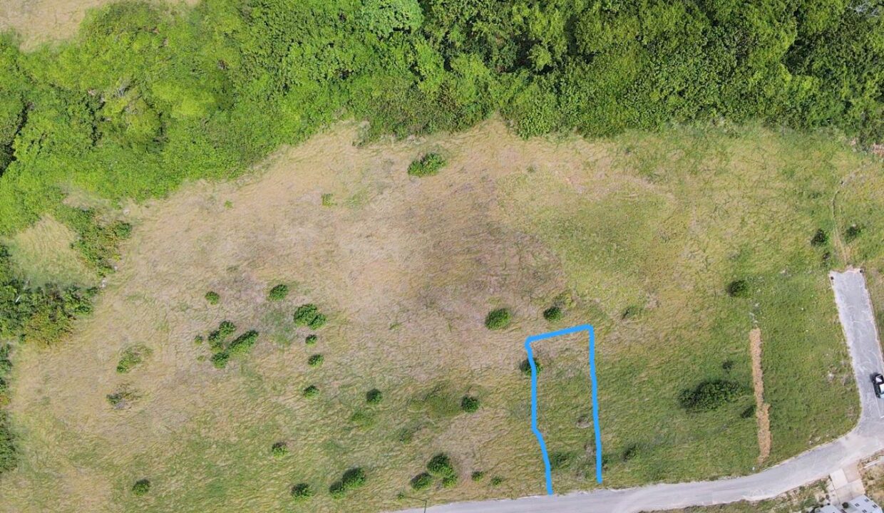 2DRONE~1