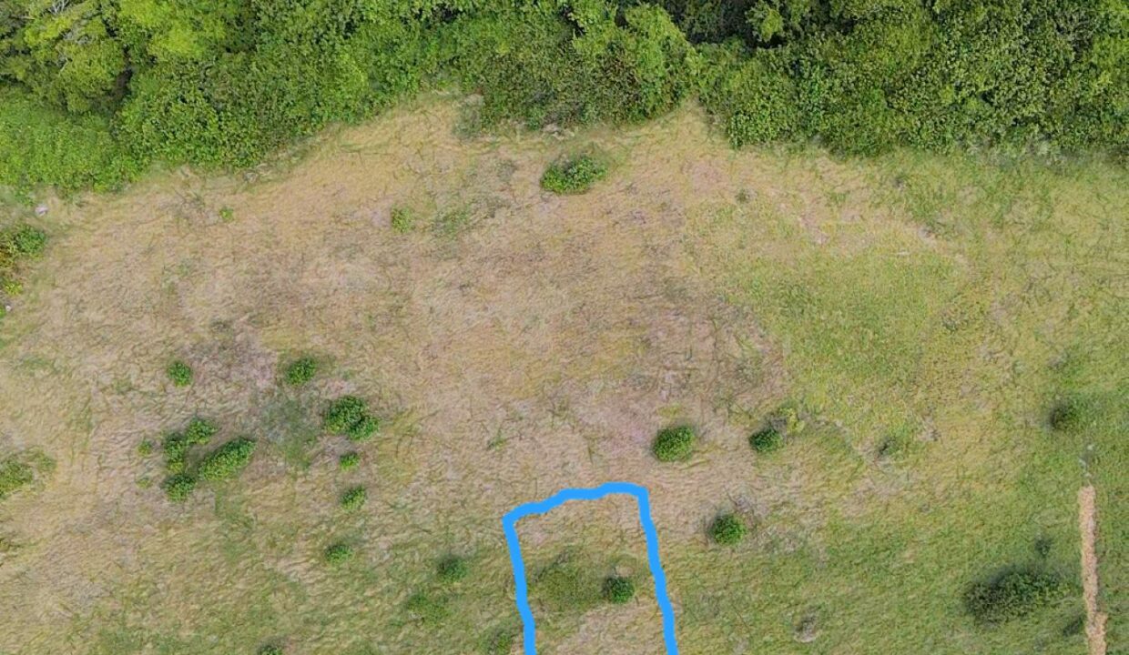 2DRONE~1