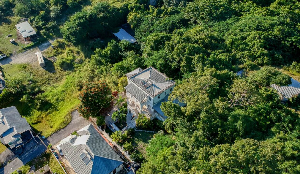 DJI_0605