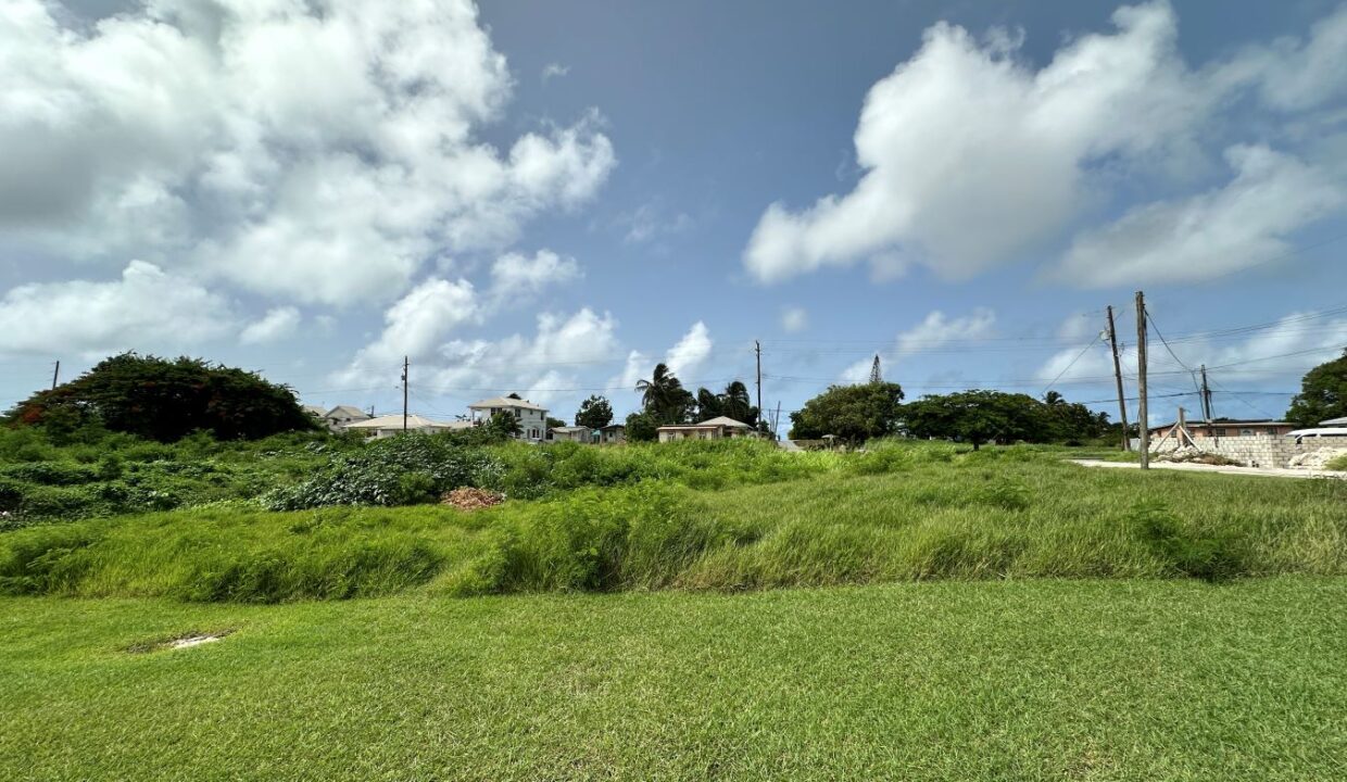 image00001