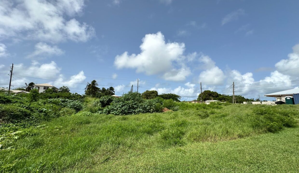 image00002