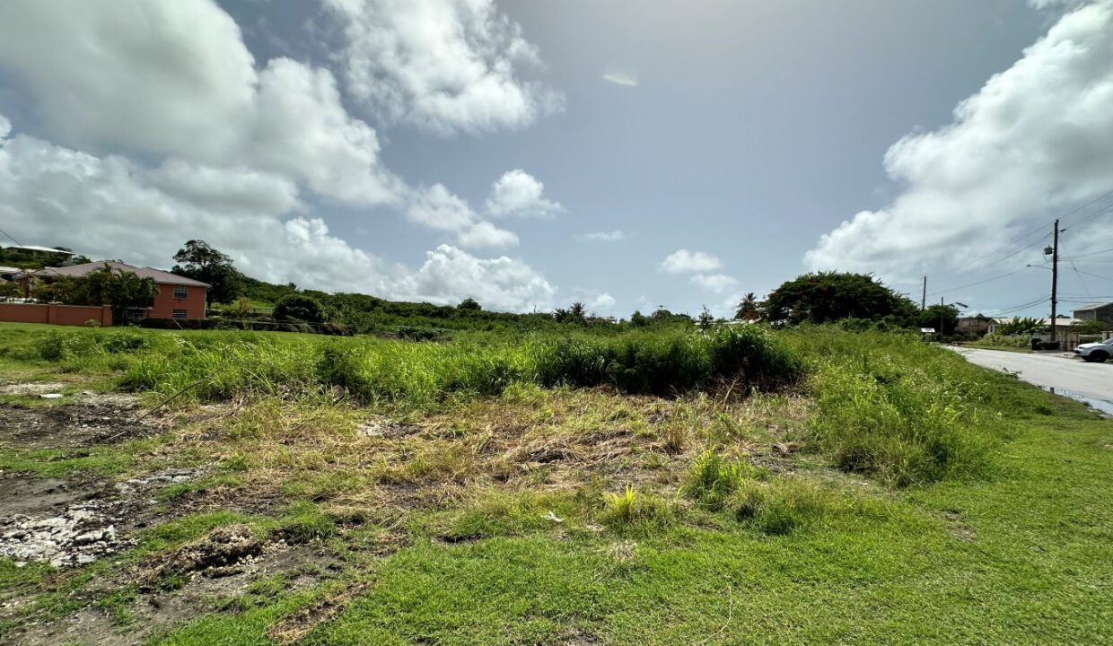 image00006