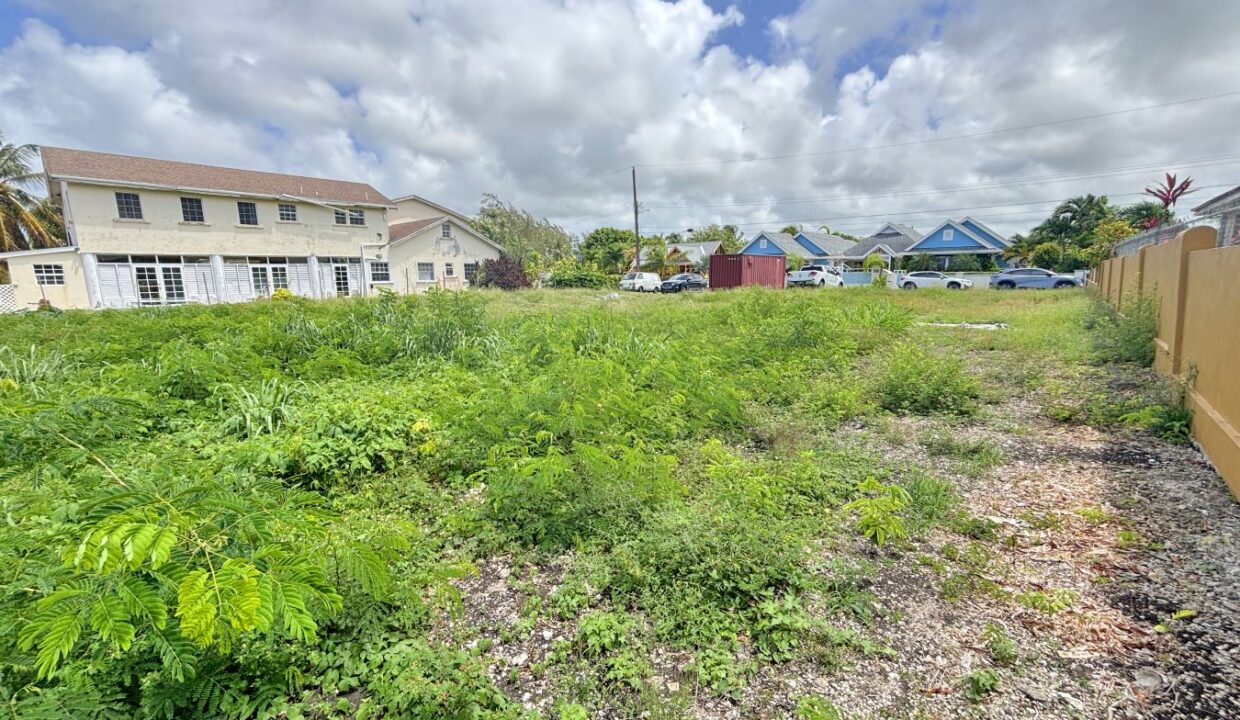 2- durants and balls lot 117