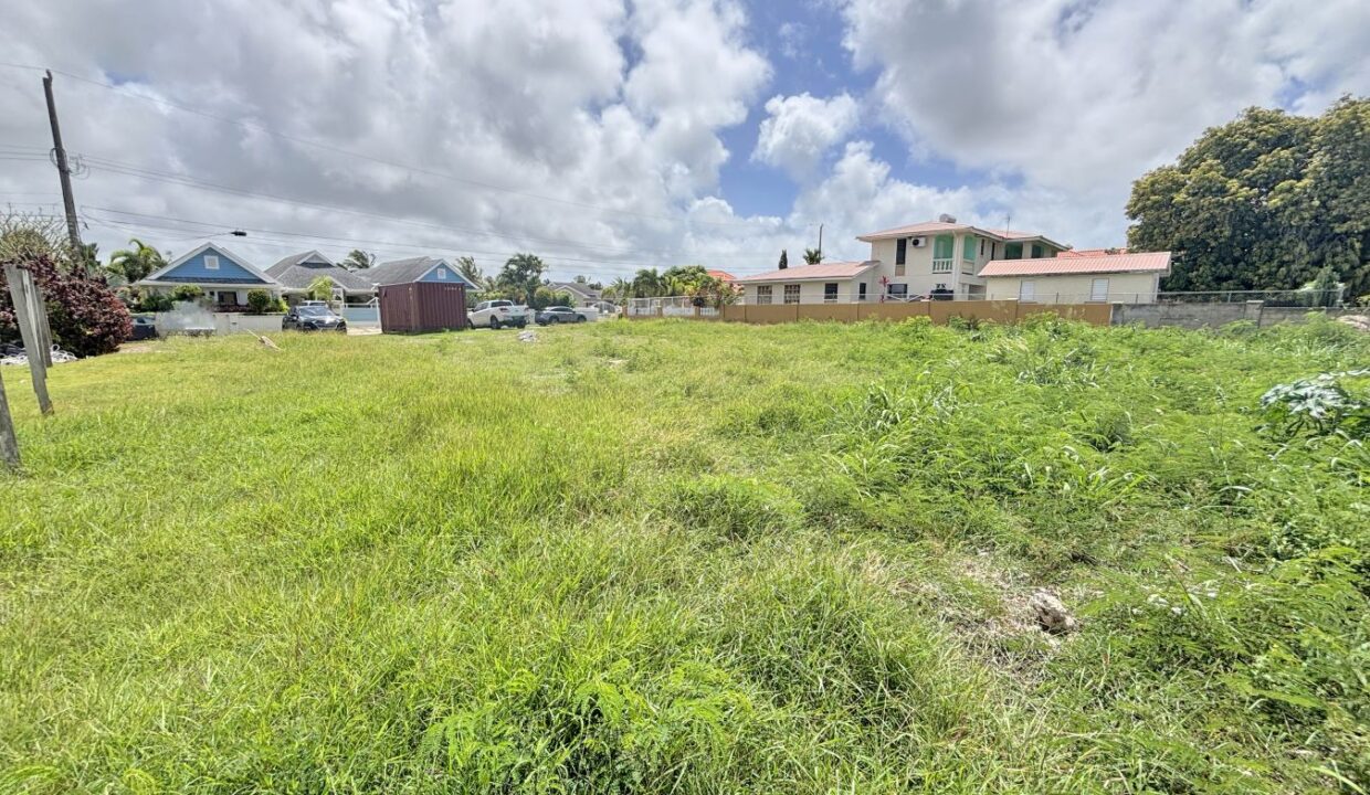 3 - durants and balls lot 117