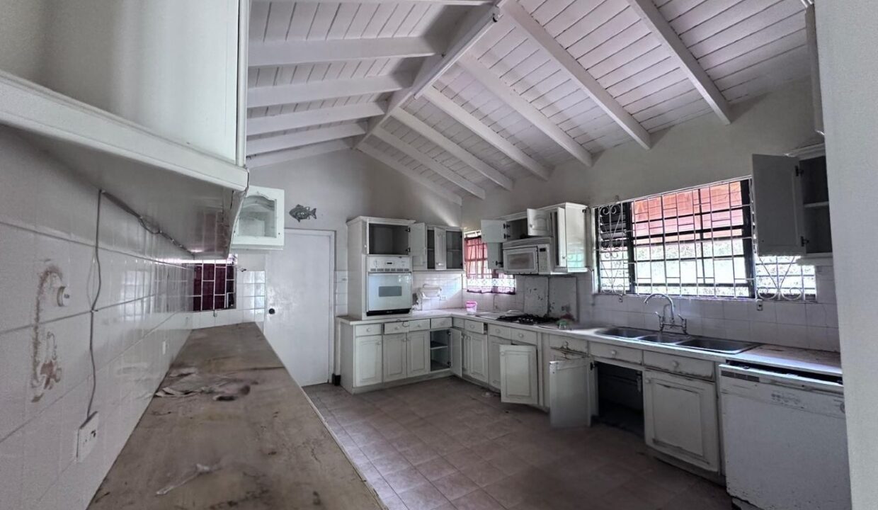 420b097a-a967-4abb-8222-dd4514946bc7