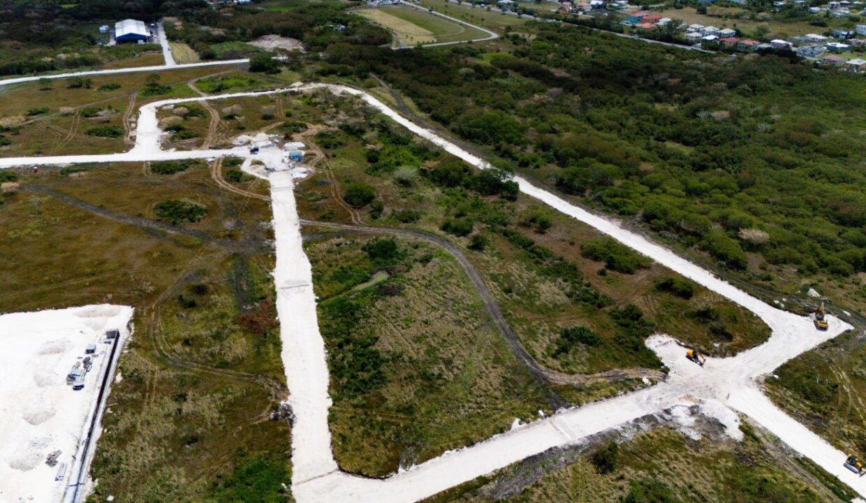 DJI_20260319114316_0295_D