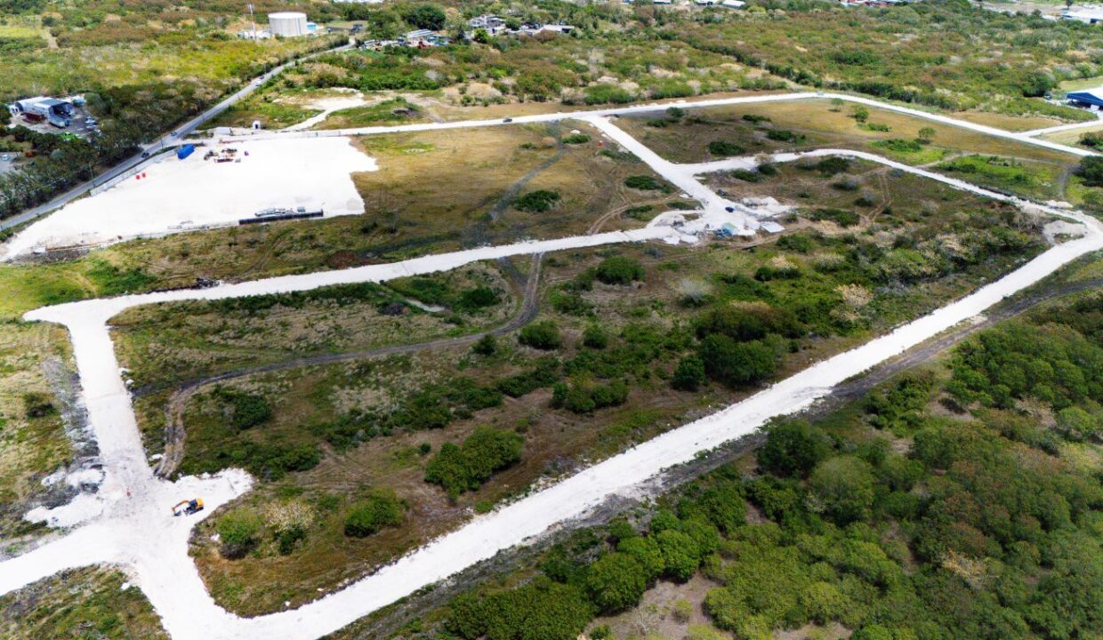 DJI_20260319114501_0299_D