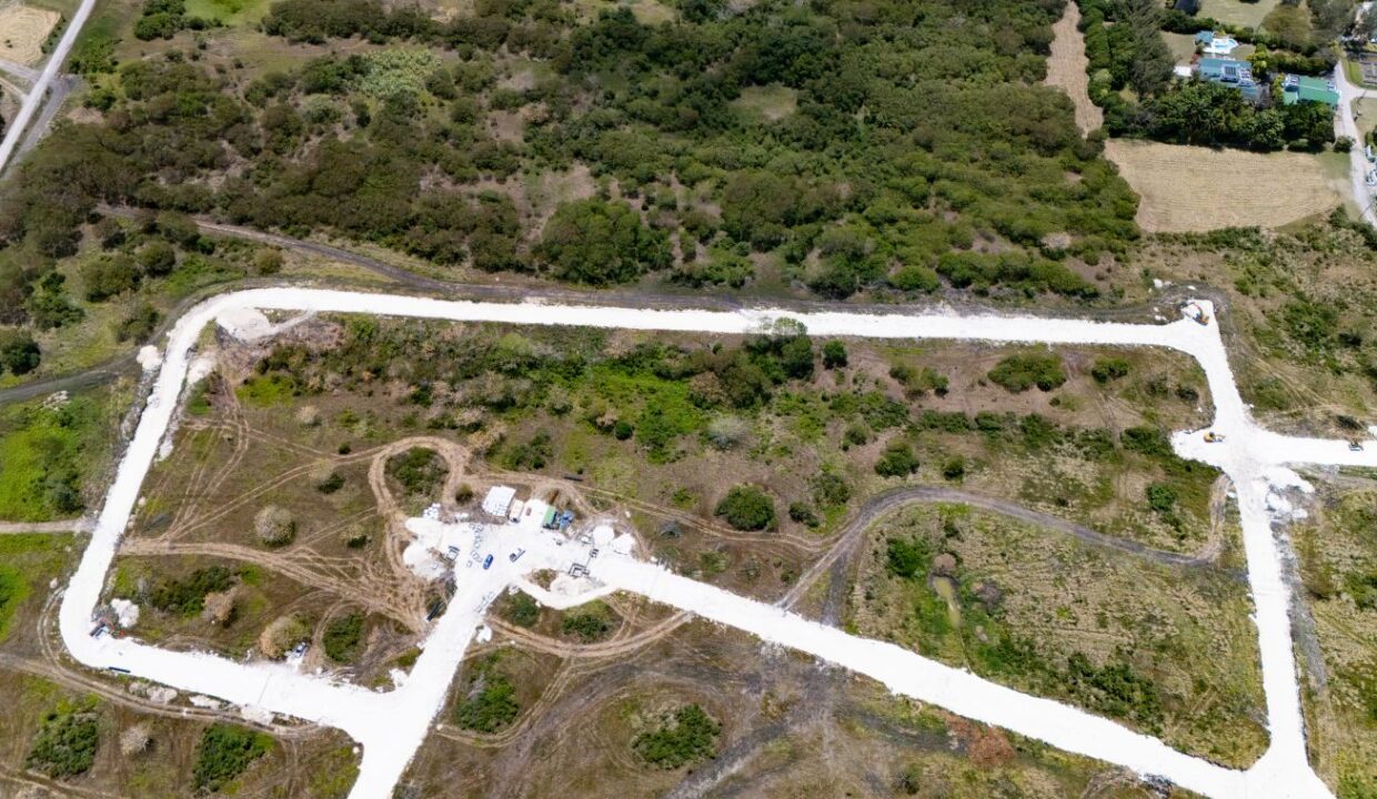 DJI_20260319114838_0306_D