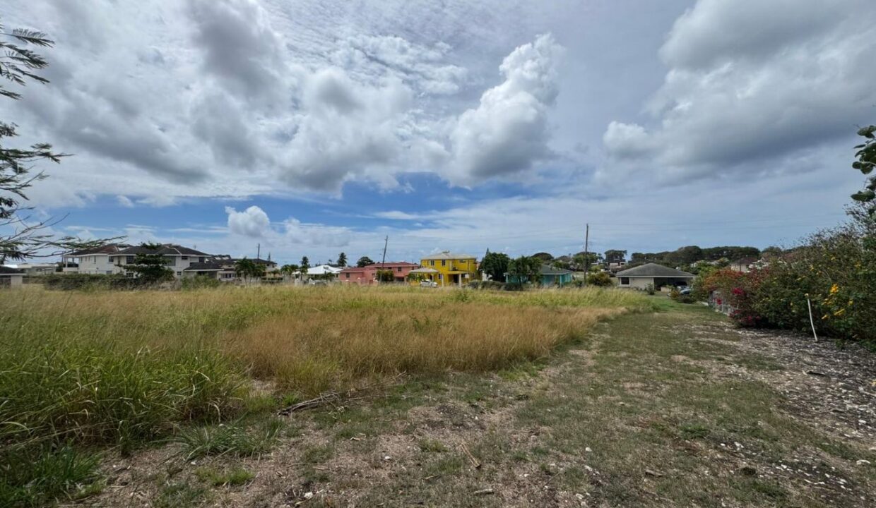 WhatsApp Image 2026-03-30 at 5.32.15 PM (1)