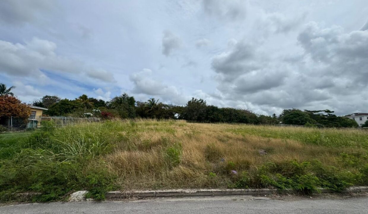 WhatsApp Image 2026-03-30 at 5.32.15 PM (2)