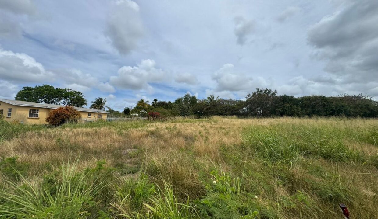 WhatsApp Image 2026-03-30 at 5.32.15 PM (3)