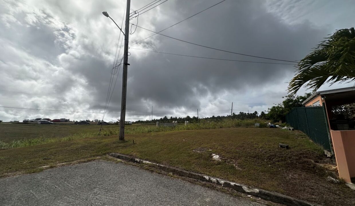 image00009