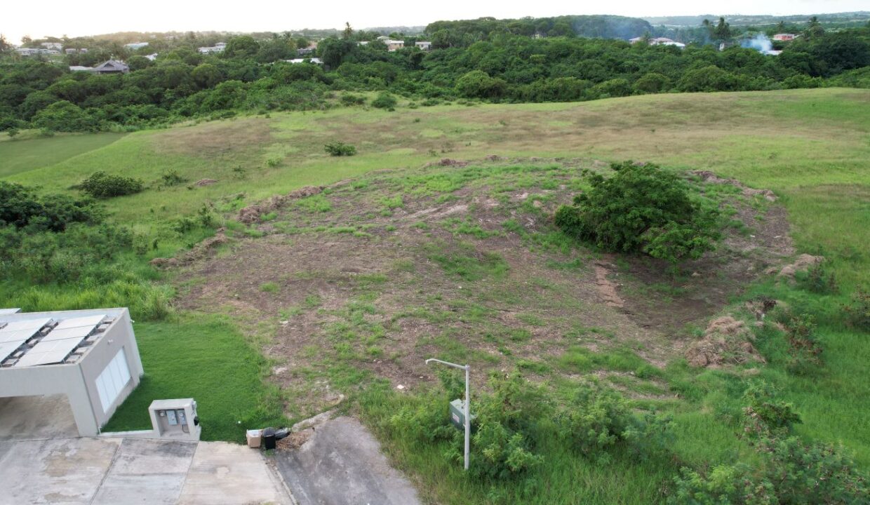 DJI_0028