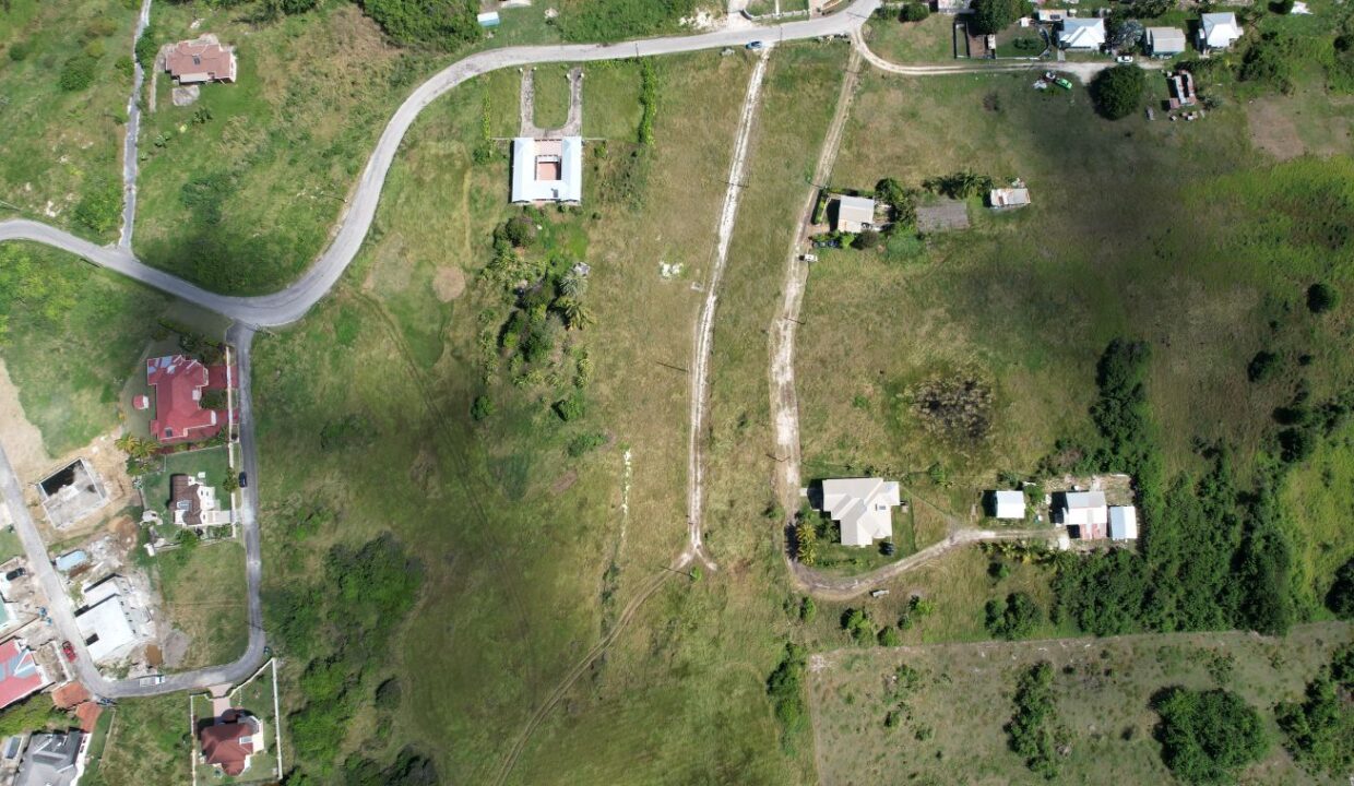 DJI_0082 (1)