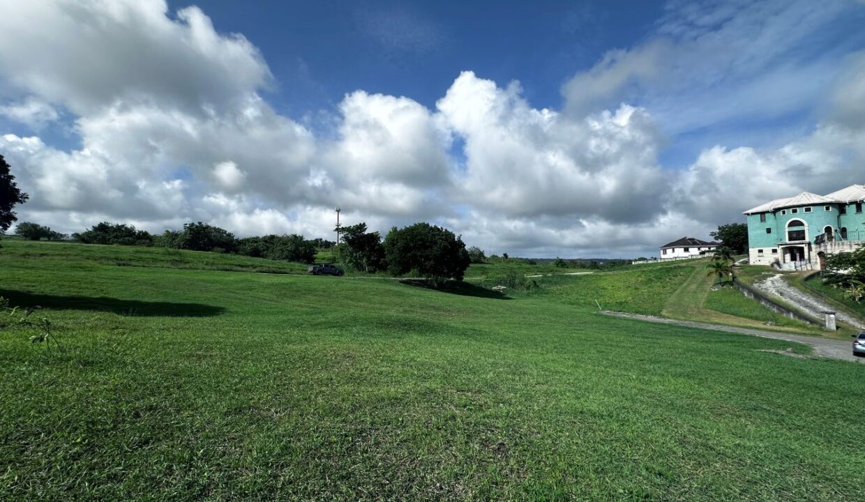 image00005