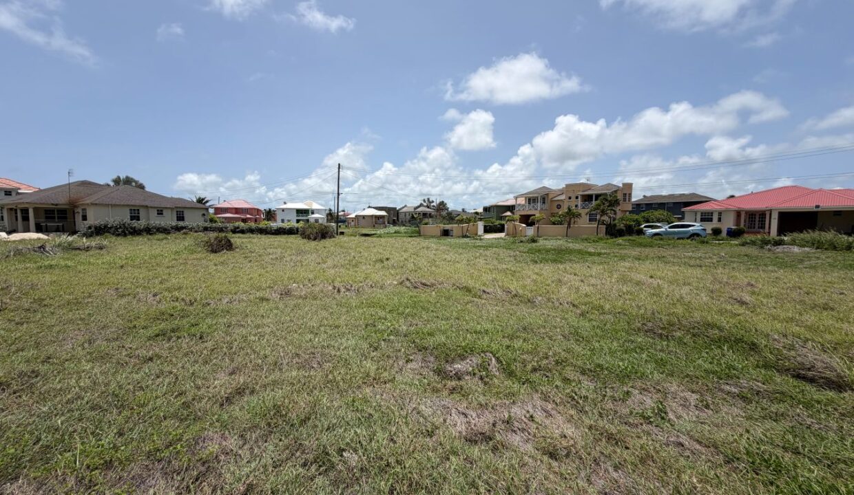 image00005